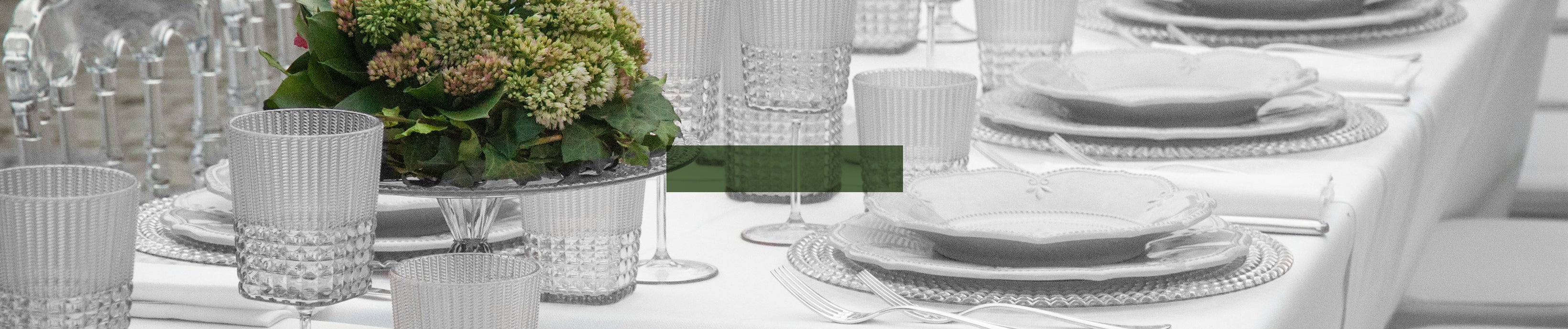 צלחת עיקרית