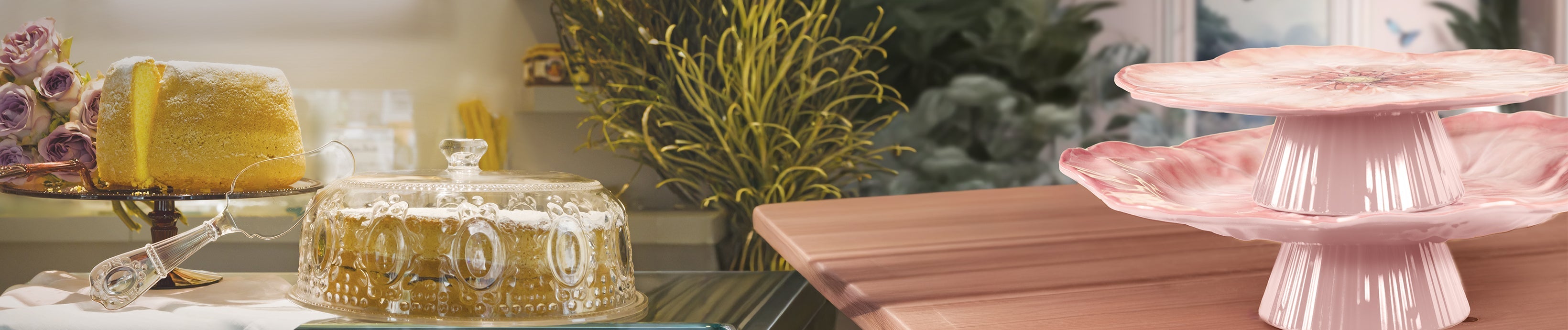 מעמדים לאחסון והגשה