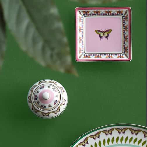 צנצנת סוכר - Amazzonia