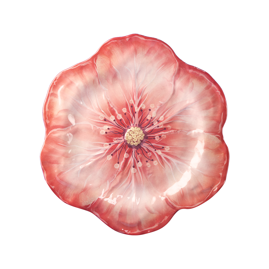 צלחת עיקרית במגוון צבעים - אלמוג