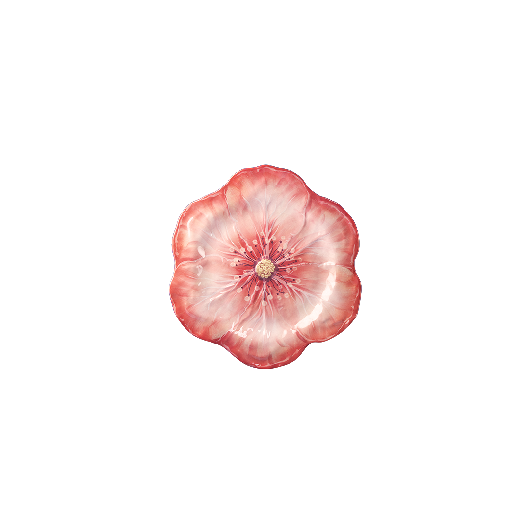 צלחת ראשונה/קינוח במגוון צבעים - אלמוג