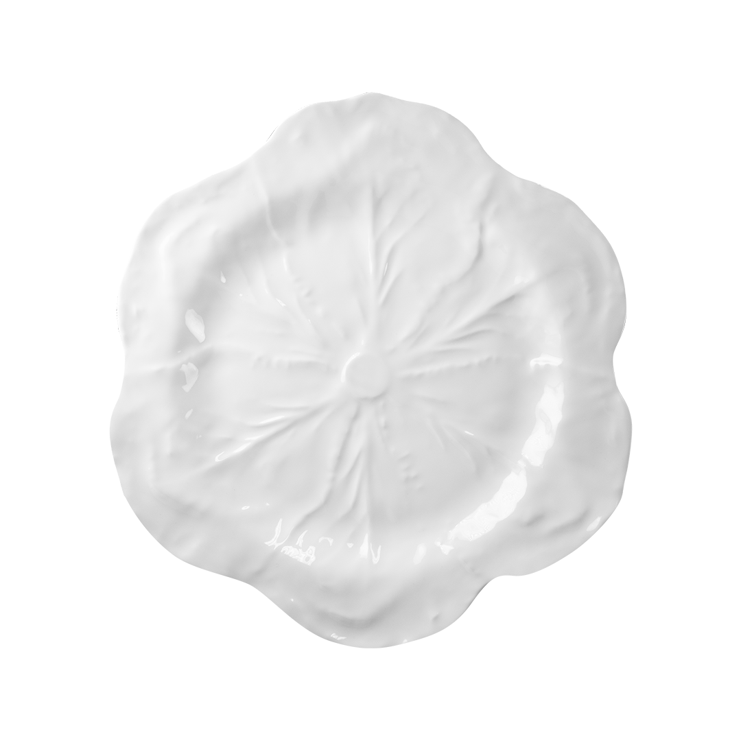 צלחת עיקרית במגוון צבעים - לבן