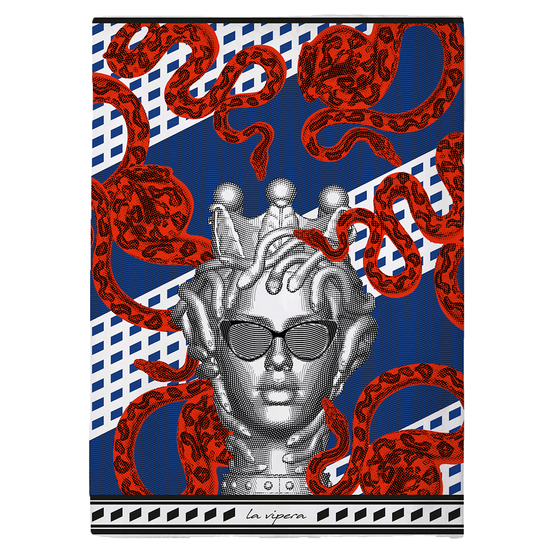 שמיכה במגוון צבעים - LA VIPERA