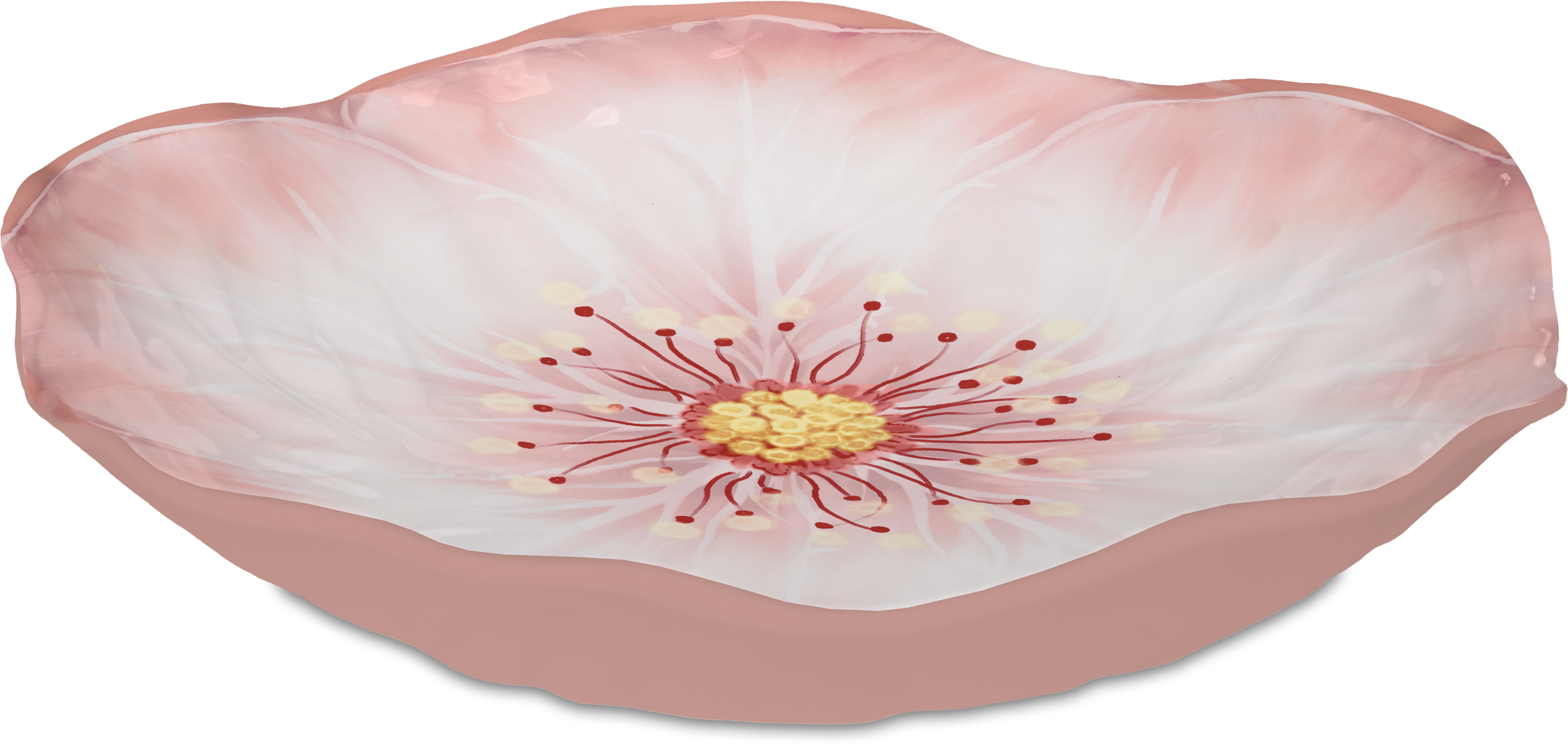 קערת הגשה רחבה במגוון צבעים - ורוד