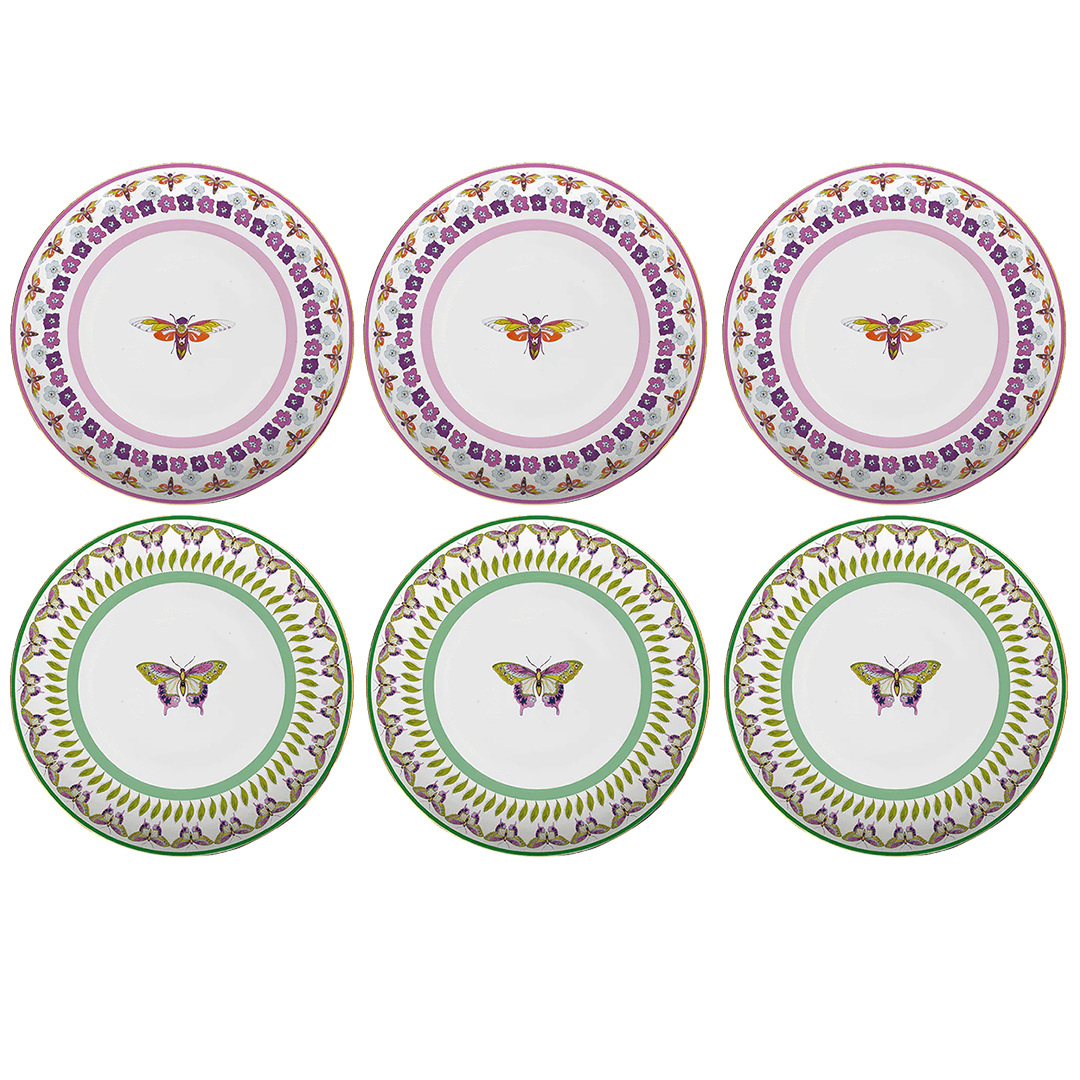 סט 6 צלחות עיקרית בשני דגמים -  Amazzonia | PLAAMA