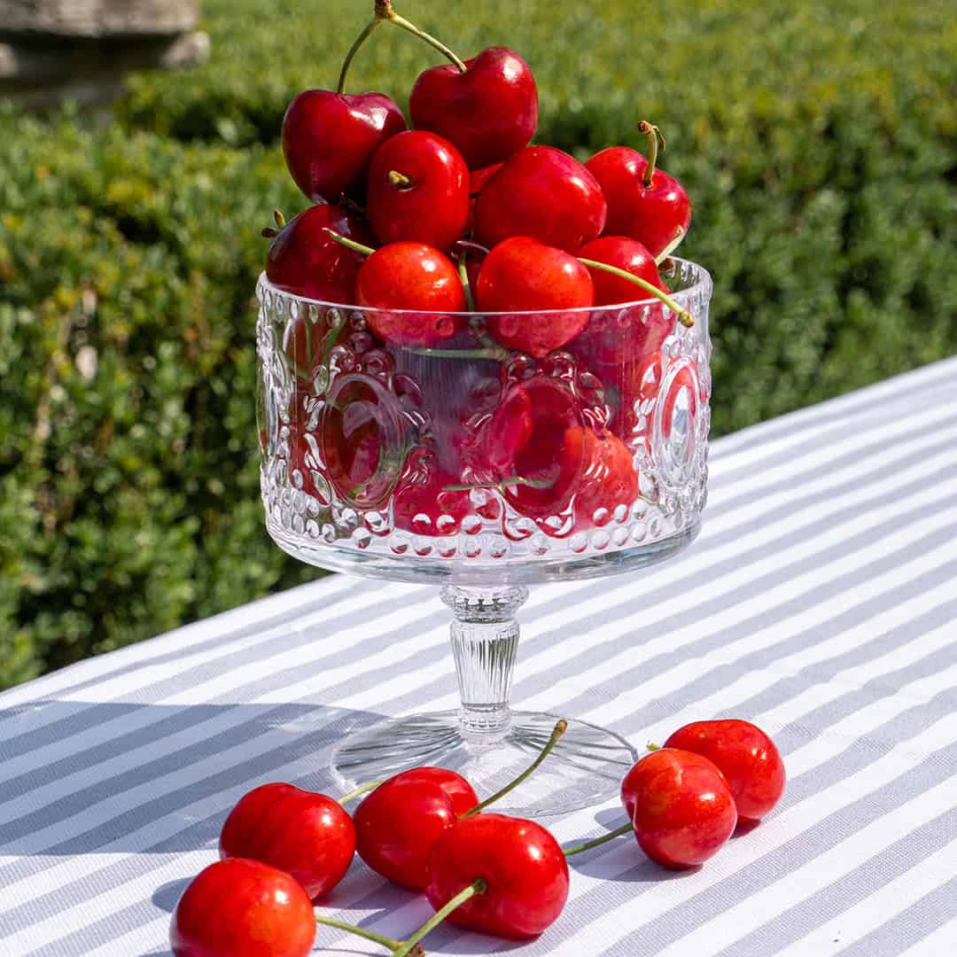 כלי אחסון על רגל עם מכסה - מיני