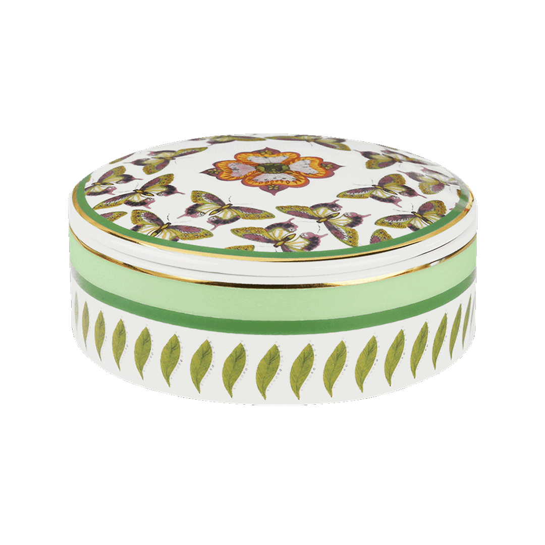 קופסה רב תכליתית - Amazzonia