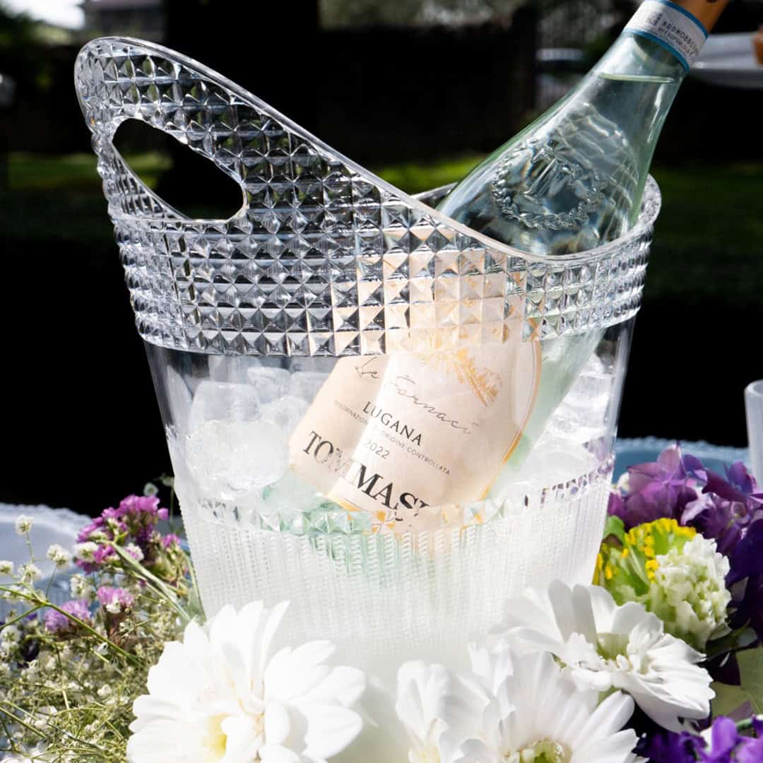 שמפניירה שקופה