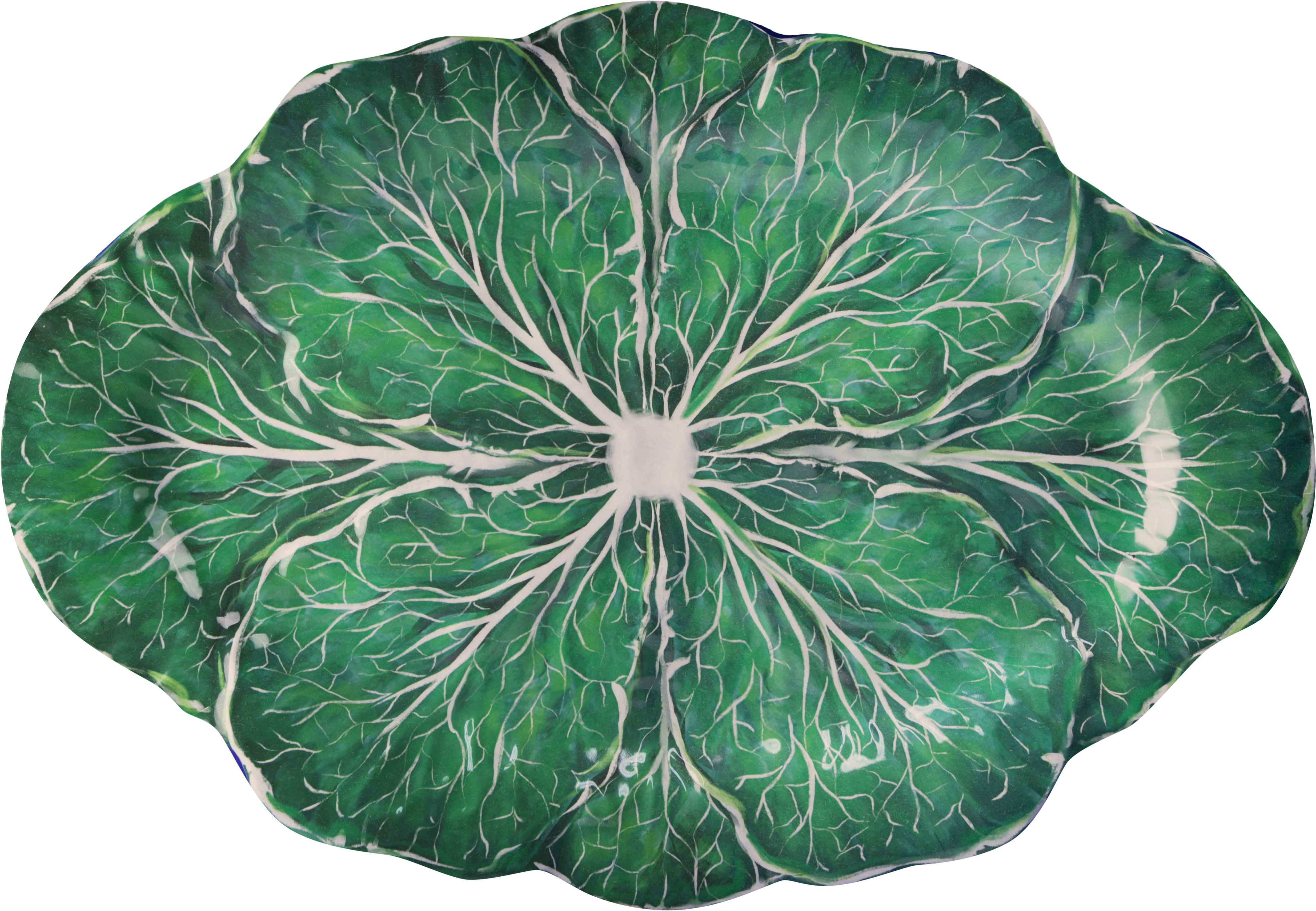 צלחת הגשה אובלית במגוון צבעים - ירוק