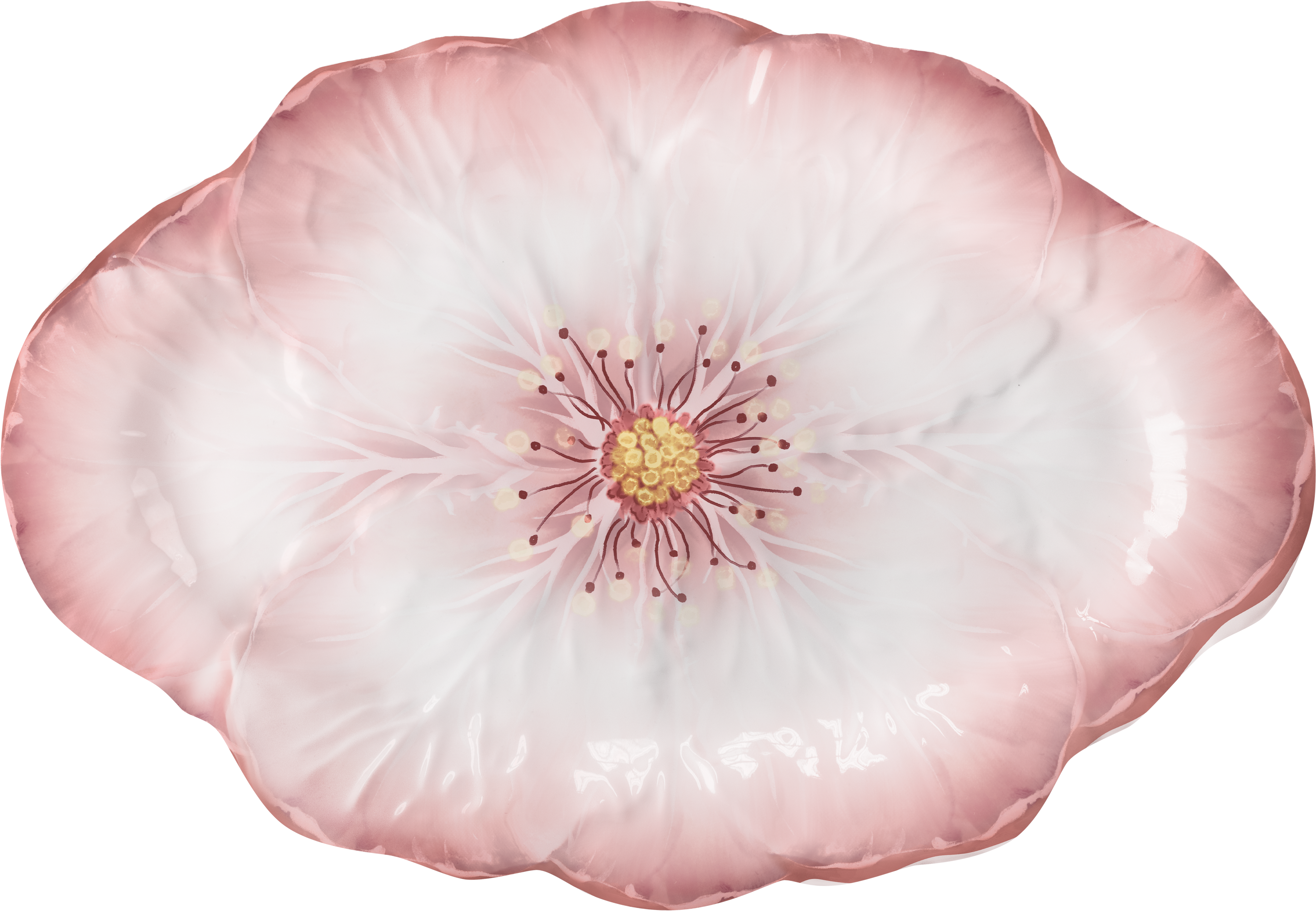 צלחת הגשה אובלית במגוון צבעים - ורוד